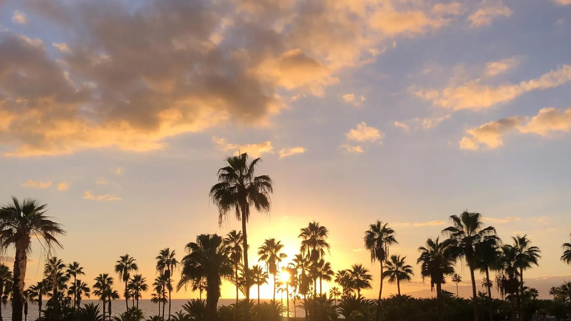 Cosy Flat With Sea View, Pool And Terrace In Altamira-Complex In Costa Adeje - Playa Del Duque Daire